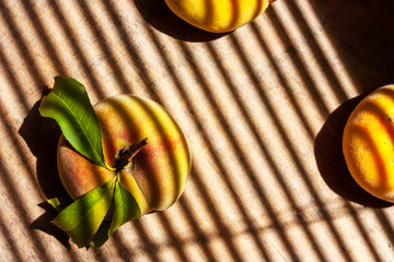 Three yellow flat peaches (Doughnut or Saturn Peach, Prunus persica var. platycarpa) on wooden background with a shadows of jalousie. Top view.