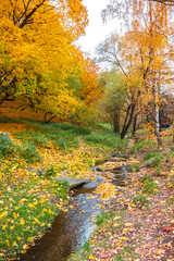 The stream in the Kolomenskoe park in the autumn, Moscow