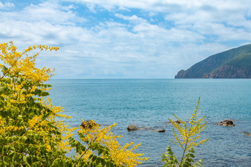 Seascape, southern coast of Crimea, mountains and yellow flowers in the foreground