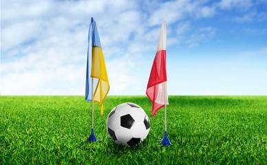 White soccer ball in the grass in blur background