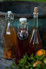 Kombucha second fermented fruit tea with different flavorings. Healthy natural probiotic flavored drink