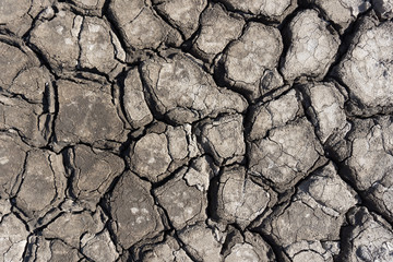 Texture of dry cracked earth close-up. Big cracks. Gray earth. Background