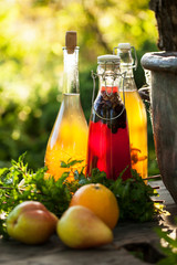 Kombucha second fermented fruit tea with different flavorings. Healthy natural probiotic flavored drink