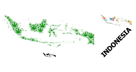Vector Mosaic Map of Indonesia of Colored and Green Weed Leaves and Solid Map
