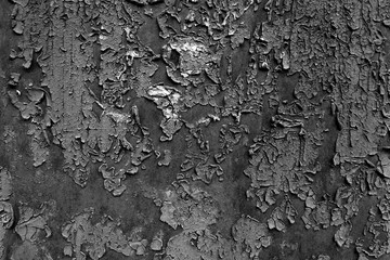 Steel gray wall with cracked paint