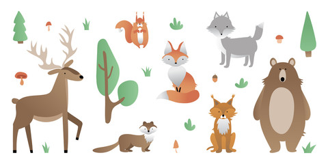 Large set of cute forest animals. Bear, wolf, fox, deer, lynx, squirrel, marten.