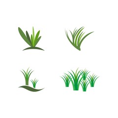 Obraz premium Grass logo vector