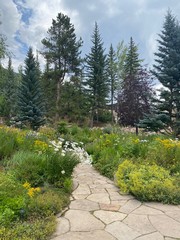 path in the mountains through the Betty Ford Alpine Garden in Vail, Colorado 