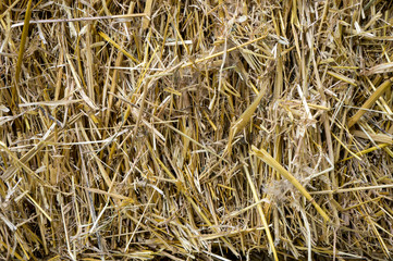 Straw as a natural background