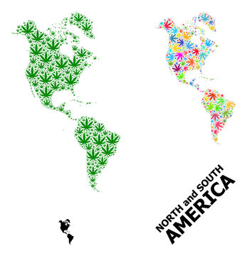 Vector Collage Map of South and North America of Colorful and Green Cannabis Leaves and Solid Map