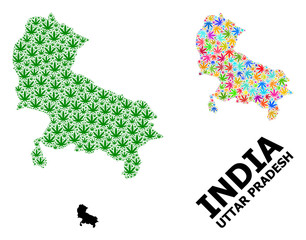 Vector Collage Map of Uttar Pradesh State of Bright and Green Weed Leaves and Solid Map