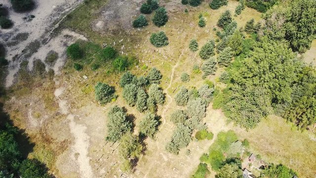 Aerial, drone view abandoned jewish cemetery in the middle of forest in Zarki, Poland. 18th century graveyard hidden in the woods. Forgotten tombstones and matzevot of dead jews are deteriorating. 
