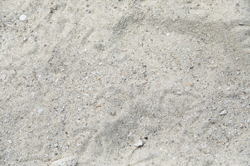 sand texture and background