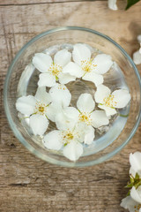 fresh jasmine flowers float in a saucer with water