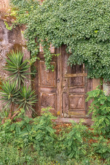 Fototapeta na wymiar Weathered And Derelict Wooden Doors With Green Overgrowth, Braga, Portugal