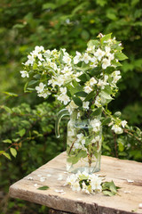 fresh bouquet of blooming fragrant jasmine in a glass vase in rustic style on an old wooden table in the garden