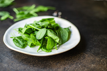 spinach green juicy leaves organic salad serving size natural product top view copy space  for text keto or paleo diet raw