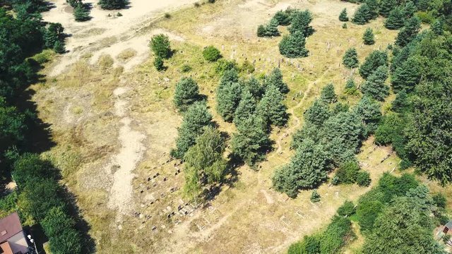Aerial, drone view abandoned jewish cemetery in the middle of forest in Zarki, Poland. 18th century graveyard hidden in the woods. Forgotten tombstones and matzevot of dead jews are deteriorating. 