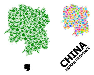 Vector Collage Map of Hunan Province of Colored and Green Marijuana Leaves and Solid Map