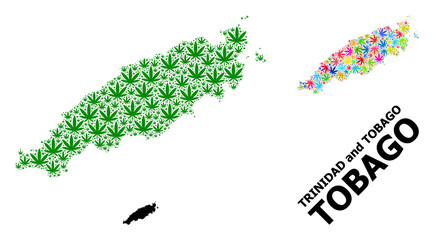Fototapeta na wymiar Vector Collage Map of Tobago Island of Psychedelic and Green Weed Leaves and Solid Map