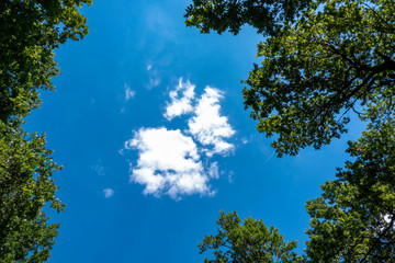 sky and clouds