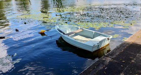 Jasna, mała łódka nad brzegiem jeziora.