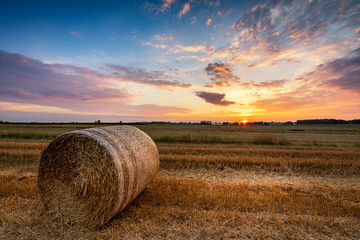 Beautiful summer sunrise over fields with hay bales