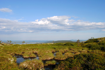 Fototapeta na wymiar Swamps on the hills of Karelia
