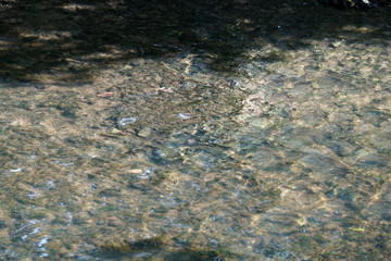 The climate crisis and forest dieback hit the forests in Germany and Bavaria very hard, photographed in 2021