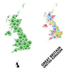 Fototapeta na wymiar Vector Mosaic Map of United Kingdom of Colored and Green Hemp Leaves and Solid Map