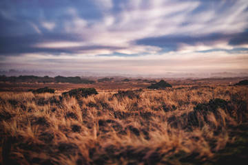 Dreamy dunes landscape in Oregon, selective focus