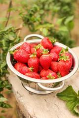 large juicy strawberries in a metal sieve on an old wooden table in rustic style in the garden