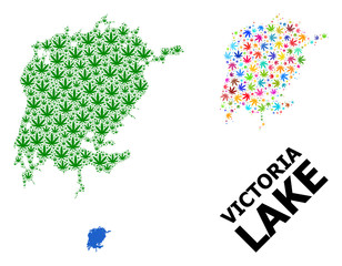 Vector Collage Map of Victoria Lake of Colored and Green Weed Leaves and Solid Map