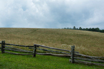 Fototapeta na wymiar Mountain pasture