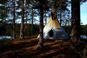 tent in forest