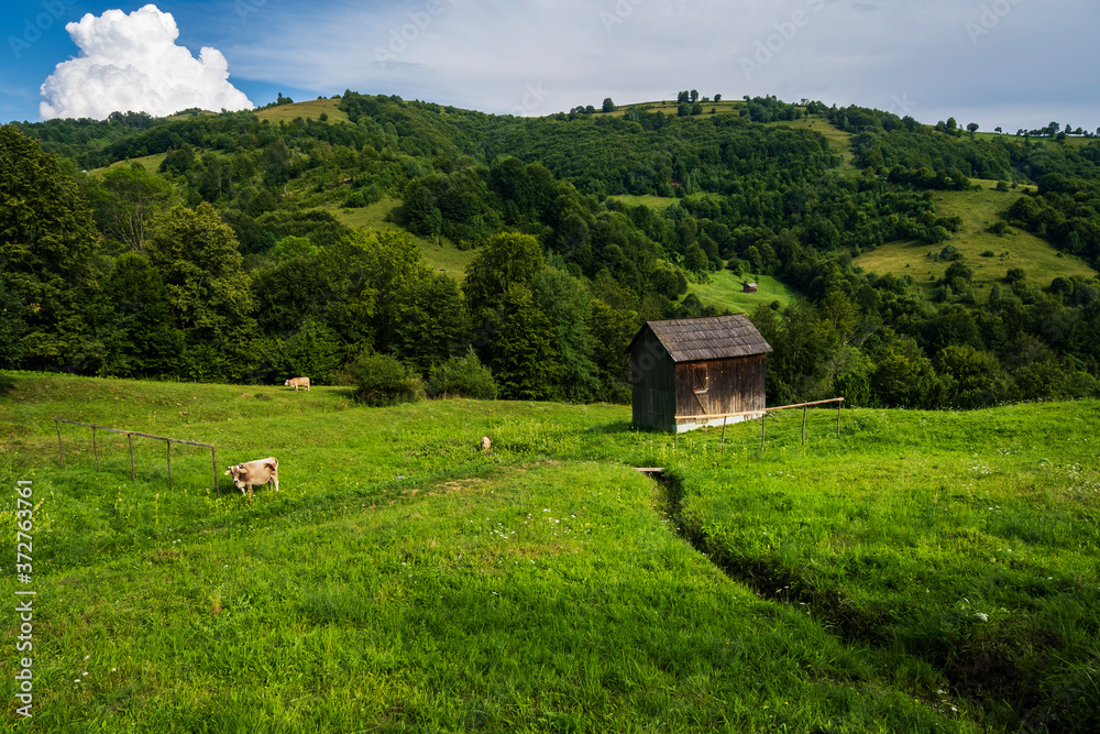 Sticker Beautiful landscape in Maramures county , Romania