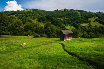 Beautiful landscape in Maramures county , Romania