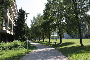 alley in the park