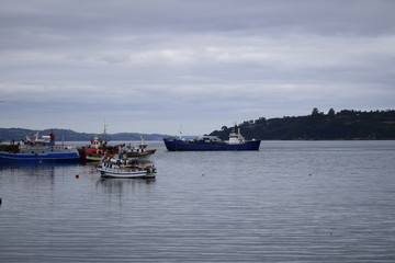 Fototapeta premium 1