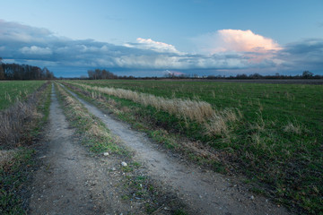 Fototapeta na wymiar A dirt road through fields and clouds in the evening sky