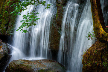 Obraz premium Closeup View of a Cascading Waterfall in the Pacific Northwest. Whatcom Falls, located in Bellingham, Washington, is a beautiful waterfall that is popular with both locals and tourists alike.