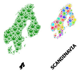 Vector Collage Map of Scandinavia of Bright and Green Weed Leaves and Solid Map