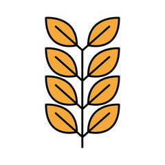 barley branch oktoberfest line and fill style icon