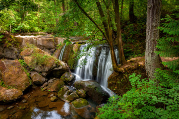 Whatcom Falls Park, Located in the Heart of Bellingham, Washington. The falls are on Whatcom Creek, which leads from Lake Whatcom to Bellingham Bay. Popular with locals and tourists alike.