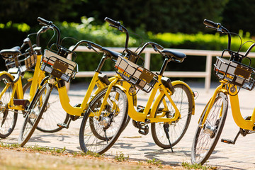 bikes to rent in the parking lot in the city