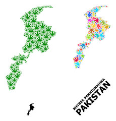 Vector Collage Map of Khyber Pakhtunkhwa Province of Psychedelic and Green Cannabis Leaves and Solid Map