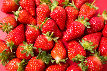 Ripe juicy orgaic strawberries on a red background.