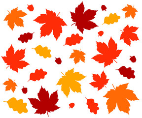 Autumn leaves vector pattern on white background