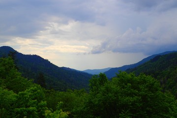 Nature lover, outdoor adventurer!