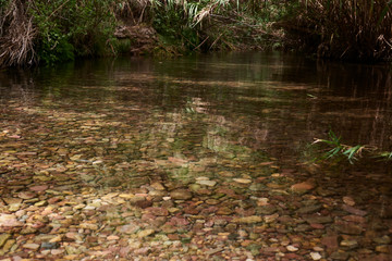 Crystal clear lake surrounded by greenery